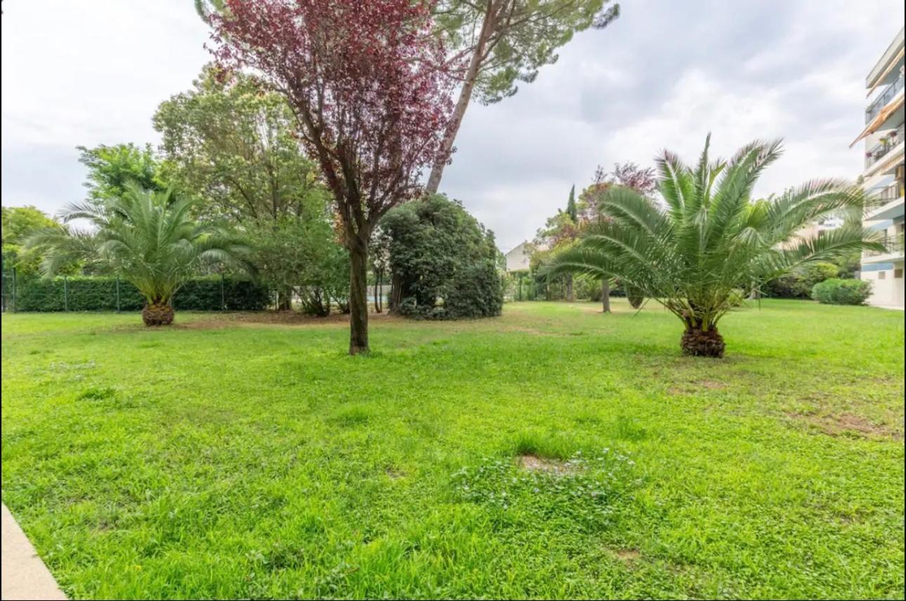 Apartmán Cosy T3 - Jardin - Parking - Piscine Montpellier Exteriér fotografie